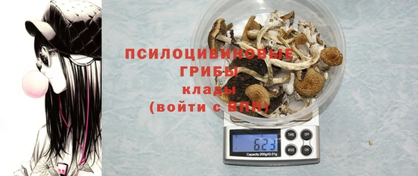 Альфа ПВП Арсеньев