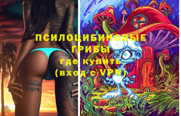 Альфа ПВП Арсеньев