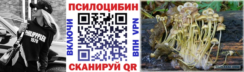 omg зеркало  купить наркотики сайты  Пойковский  Галлюциногенные грибы MAGIC MUSHROOMS 
